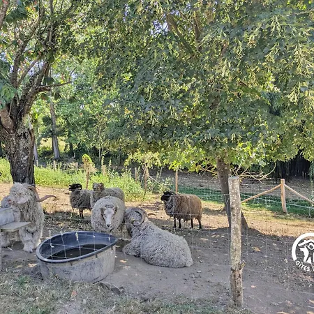 Casa de Férias Le Des Bergers, Jusqu'à 9 Personnes *